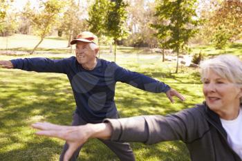Senior Couple Doing Tai Chi Exercises Together In Park