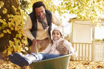 Father In Autumn Garden Gives Daughter Ride In Wheelbarrow