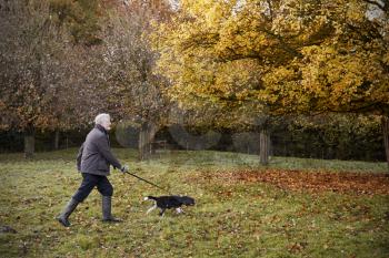 Senior Man Taking Dog For Walk In Autumn Landscape