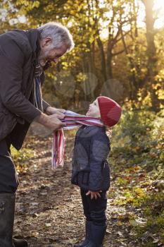 Grandfather Tying Granddaughter's Scarf On Autumn Walk