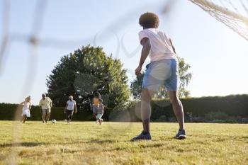 Dad defends goal in a multi generation family football game