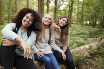 Three happy young adult women taking a break sitting on a fallen tree in a forest during a hike, portrait