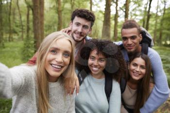 Multi ethnic group of five young adult friends taking a selfie in a forest during a hike, portrait