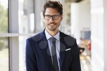 Portrait of young professional man in suit
