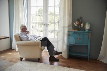 Senior man sitting in an armchair reading a book at home