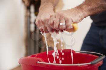 Man wringing water out of a sponge into a bucket, detail