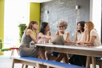 Female work colleagues using laptop in an informal meeting