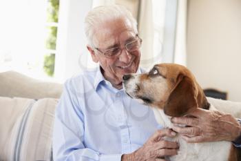 Senior Man Sitting On Sofa At Home With Pet Beagle Dog