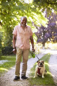 Portrait Of Senior Man Walking Pet Bulldog In Countryside