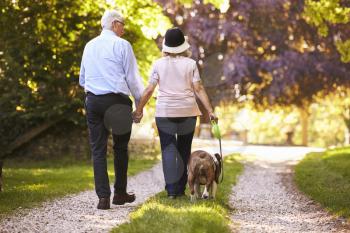 Rear View Of Senior Couple Walking Pet Bulldog In Countryside