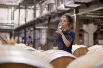 Young woman wine tasting in a wine factory warehouse