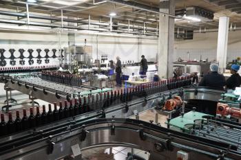 Colleagues working in the bottling plant at a wine factory