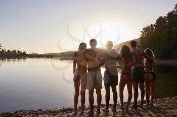 Young adult friends admiring view from lakeshore, back view