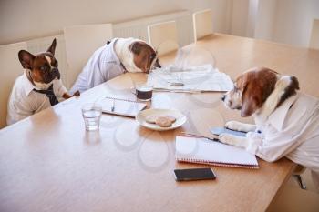 Three Dogs Dressed As Businessmen Having Meeting In Boardroom