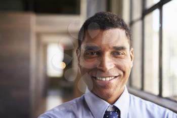 Close up portrait of smiling mixed race businessman