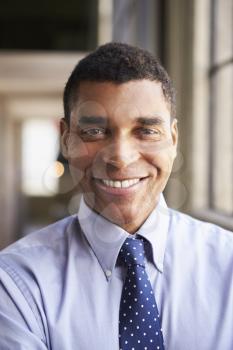 Smiling mixed race businessman, vertical portrait