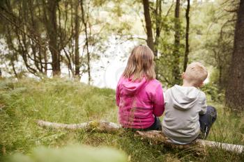 Girl and boy sitting together on a fallen tree in a forest, back view