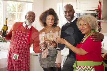 Multi-ethnic adult family celebrating  with champagne in the kitchen on Christmas Day looking to camera, close up