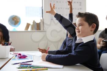 Schoolboy with Down syndrome sitting at a desk raising his hand in a primary school class, close up, side view