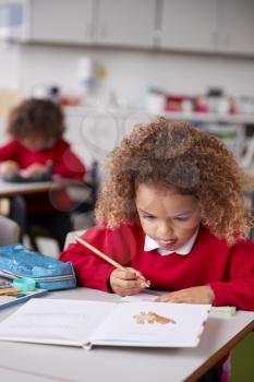 Close up of mixed race schoolgirl sitting at desk in an infant school classroom drawing, vertical
