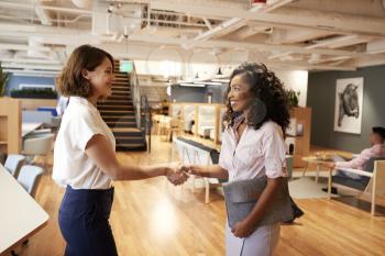 Two Businesswomen Meeting And Shaking Hands In Modern Open Plan Office