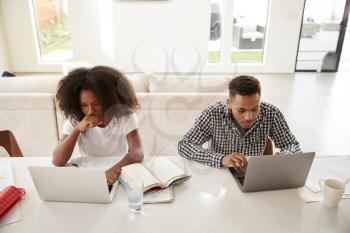 Black teenage brother and sister sitting at home using laptop computers, elevated view