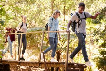 Young adult friends crossing a footbridge during a hike in a forest, full length