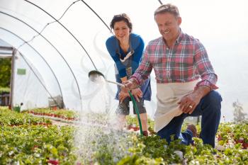 Mature Couple Working In Garden Center Watering Plants In Greenhouse