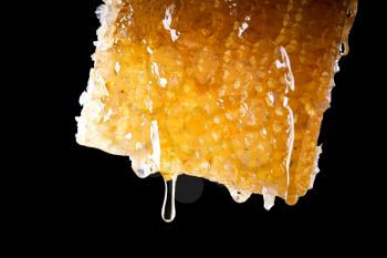 Close Up Of Honey Dripping From Honeycomb Against Black Background