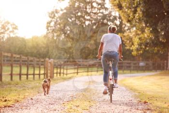 Rear View Of Woman With Pet Dog Riding Bike Along Country Lane At Sunset