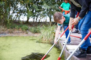 Group Of Children On Outdoor Activity Camp Catching And Studying Pond Life