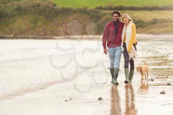 Loving Couple With Pet Dog Hugging Walking Along Beach Shoreline