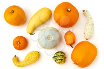 Overhead Autumn Still Life Composed Of Different Types Of Pumpkins On White Background