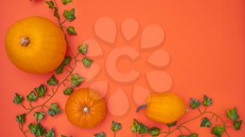 Overhead Flat Lay Autumn Banner Composed Of Pumpkins With Ivy Leaves On Orange Background