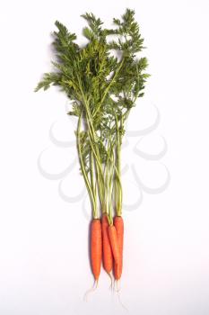 Overhead View Of Bunch Of Fresh Carrots With Tops On White Background