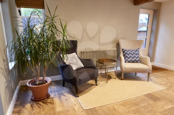 Interior View Of Beautiful Lounge With Armchairs And Potted Plant In Family House