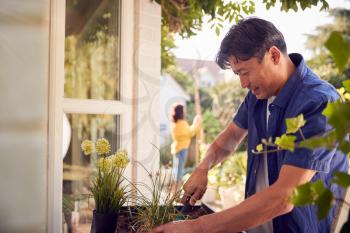 Mature Asian Man Planting Plants Into Wooden Garden Planter At Home