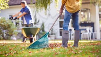 Close Up Of Mature Asian Couple Working In Garden At Home Raking And Tidying Leaves Into Barrow