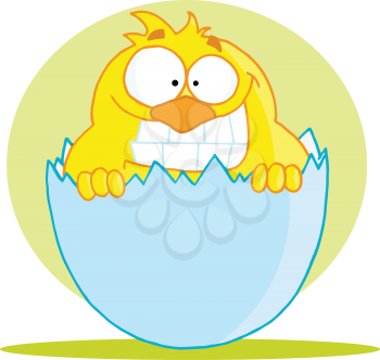Royalty Free Clipart Image of a Chick in an Easter Egg