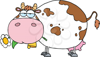 Royalty Free Clipart Image of a Cow Eating a Daisy
