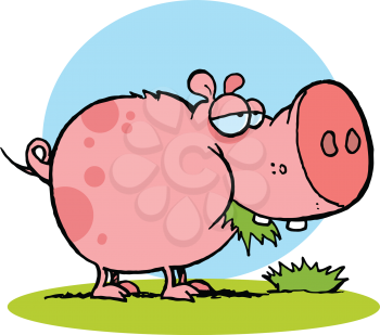 Royalty Free Clipart Image of a Pig Eating Grass