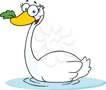 Royalty Free Clipart Image of a Swimming Swan