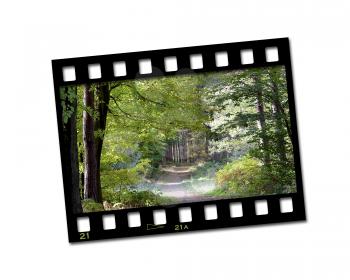 Filmstrip with countryside image