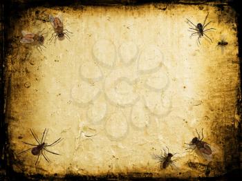 Grunge background with spiders and flies
