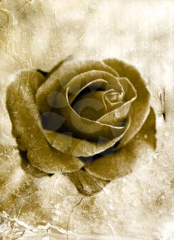 Grunge style rose background