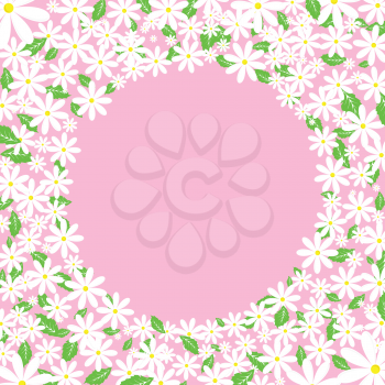 Background of daisies