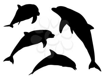 Silhouettes of dolphins