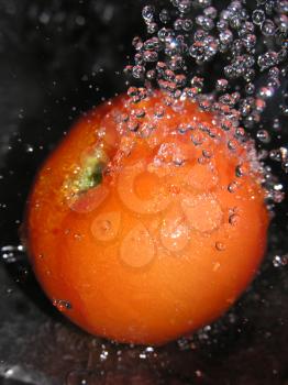 Freshly washed tomato