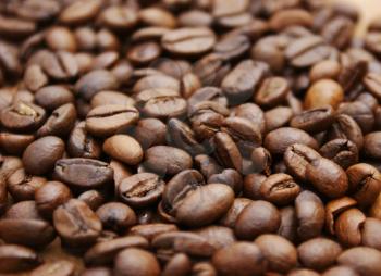 Background of coffee beans