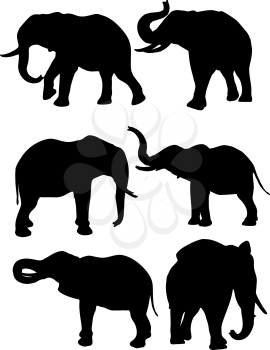 Silhouettes of elephants in different poses